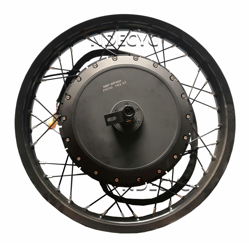 US Stock NBpower/QS V3 273 40H – Qs Motor 273 8000W Hub Motor Bewertung und Preis